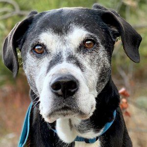 Meet your Posher, Derek